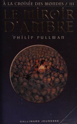 Couverture de Le miroir d'ambre