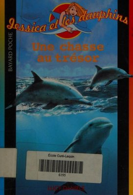 Couverture de Une chasse au trésor