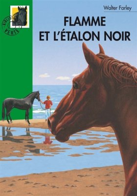 Couverture de Flamme et l'étalon noir