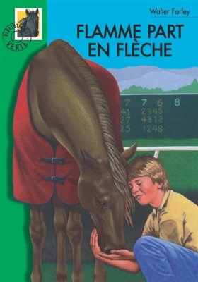Couverture de Flamme part en flèche