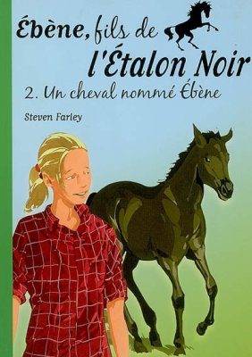 Couverture de Sombres rêves