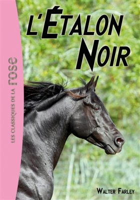 Couverture de L'étalon noir
