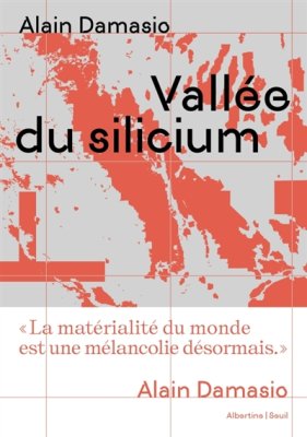 Couverture de Vallée du silicium