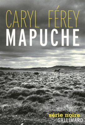 Couverture de Mapuche