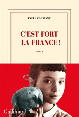 Couverture de C'est fort la France !