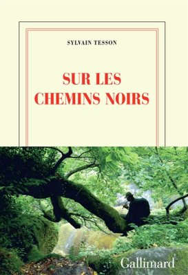 Couverture de Sur les chemins noirs