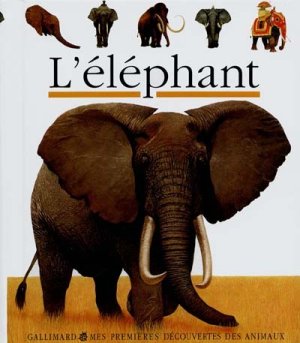 Couverture de L' éléphant