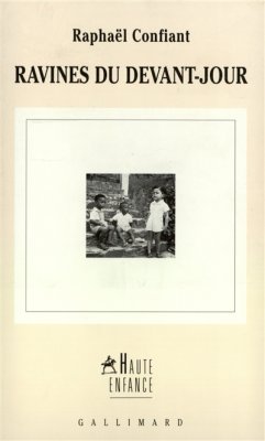 Couverture de Ravines du devant-jour