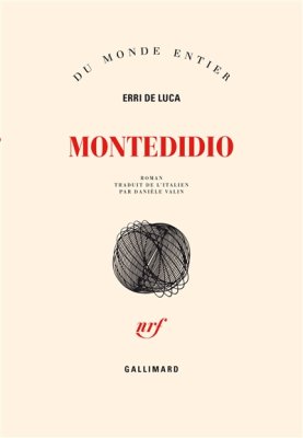 Couverture de Montedidio