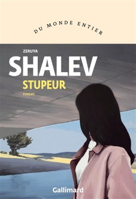 Couverture de Stupeur