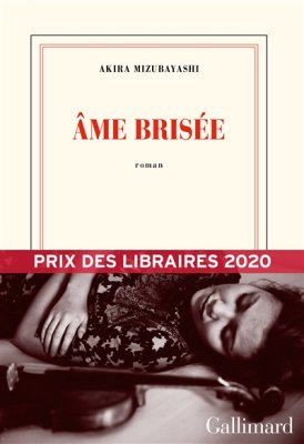 Couverture de Âme brisée