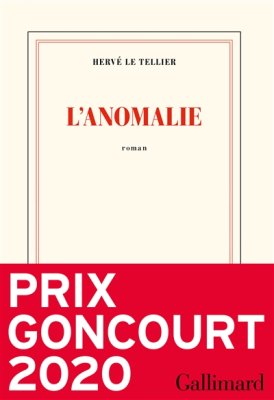 Couverture de L'anomaliie