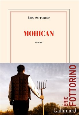 Couverture de Mohican