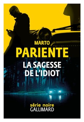 Couverture de La sagesse de l'idiot