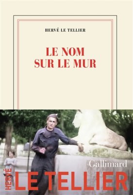 Couverture de Le nom sur le mur
