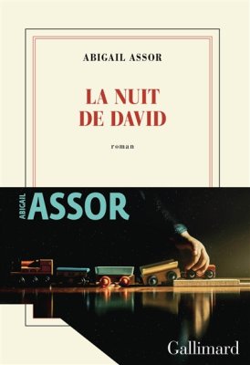 Couverture de La nuit de David