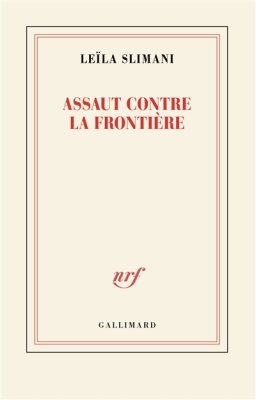 Couverture de Assaut contre la frontière