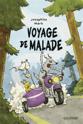 Couverture de Voyage de malade