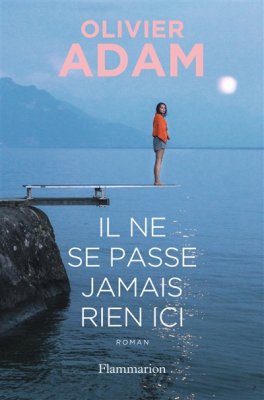 Couverture de Il ne se passe jamais rien ici
