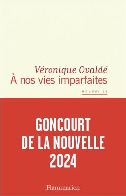 Couverture de A nos vies imparfaites