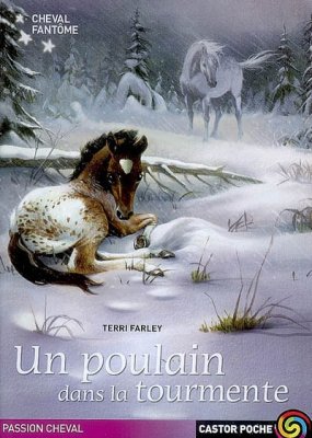 Couverture de Un poulain dans la tourmente