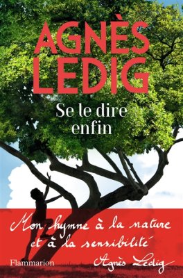 Couverture de Se le dire enfin