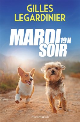 Couverture de Mardi soir 19 h