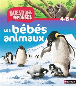 Couverture de Les bébés animaux