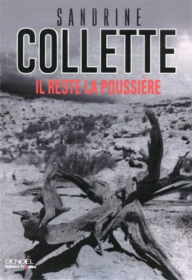 Couverture de Il reste la poussière