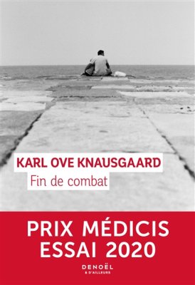 Couverture de Fin de combat