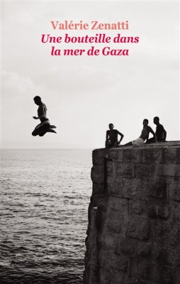 Couverture de Une bouteille dans la mer de Gaza
