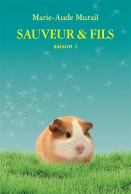 Couverture de Sauveur & fils, saison 2
