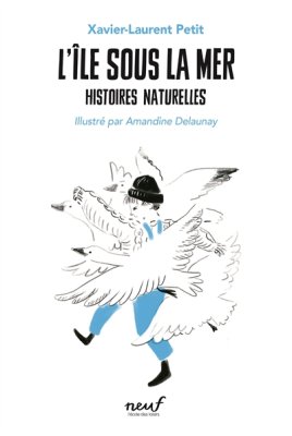 Couverture de L'île sous la mer