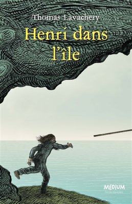Couverture de Henri dans l'île