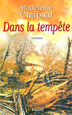 Couverture de Dans la tempête