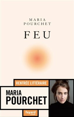 Couverture de Feu