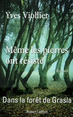 Couverture de Même les pierres ont résisté