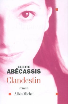 Couverture de Clandestin