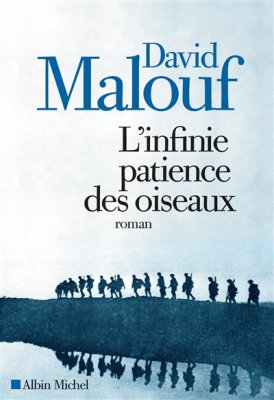 Couverture de L'infinie patience des oiseaux