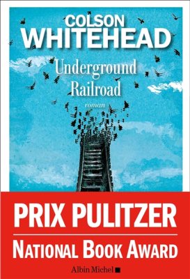 Couverture de Underground railroad