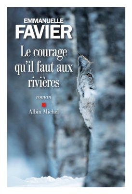Couverture de Le courage qu'il faut aux rivières