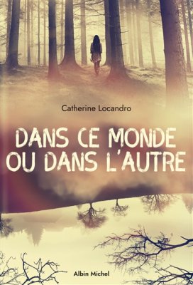 Couverture de Dans ce monde ou dans l'autre