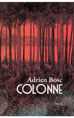 Couverture de Colonne