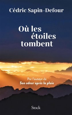 Couverture de Où les étoiles tombent