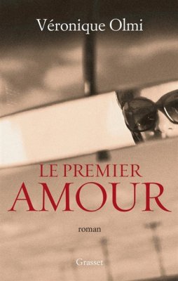 Couverture de Le Premier amour