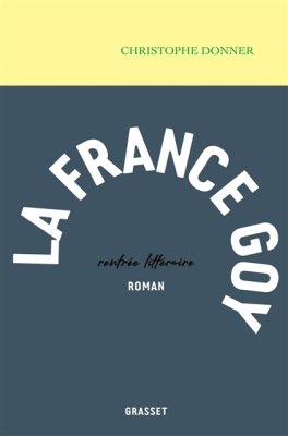 Couverture de La France goy