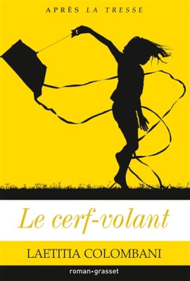 Couverture de Le cerf-volant