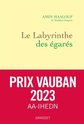 Couverture de Le labyrinthe des égarés