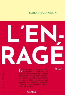 Couverture de L'enragé