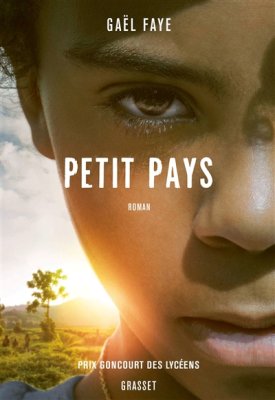 Couverture de Petit pays